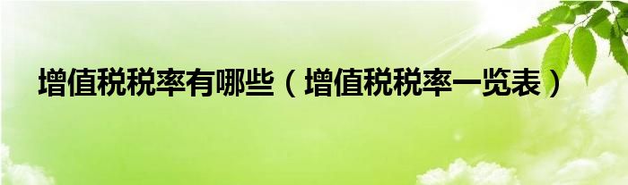 增值税税率有哪些(增值税税率一览表)