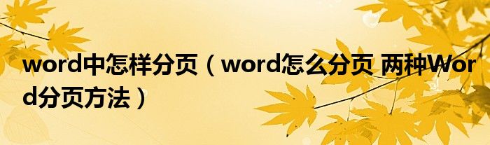 word中怎样分页(word怎么分页 两种Word分页方法)