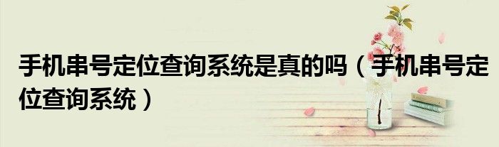 手机串号定位查询系统是真的吗(手机串号定位查询系统)