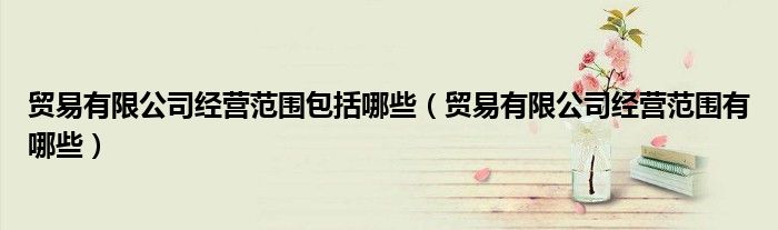 贸易有限公司经营范围包括哪些(贸易有限公司经营范围有哪些)
