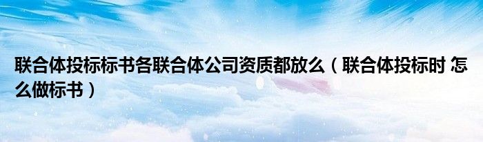 联合体投标标书各联合体公司资质都放么(联合体投标时 怎么做标书)