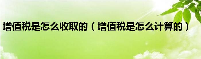增值税是怎么收取的(增值税是怎么计算的)