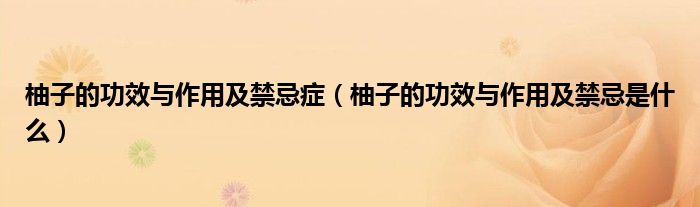 柚子的功效与作用及禁忌症(柚子的功效与作用及禁忌是什么)