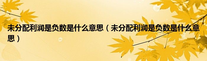未分配利润是负数是什么意思(未分配利润是负数是什么意思)