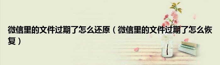 微信里的文件过期了怎么还原(微信里的文件过期了怎么恢复)