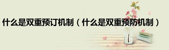 什么是双重预订机制(什么是双重预防机制)