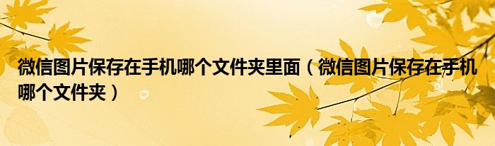 微信图片保存在手机哪个文件夹里面(微信图片保存在手机哪个文件夹)