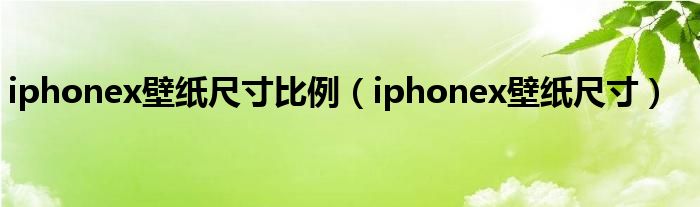 iphonex壁纸尺寸比例(iphonex壁纸尺寸)