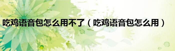 吃鸡语音包怎么用不了(吃鸡语音包怎么用)