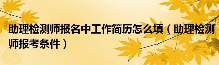 助理检测师报名中工作简历怎么填(助理检测师报考条件)