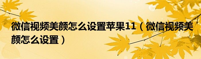 微信视频美颜怎么设置苹果11(微信视频美颜怎么设置)