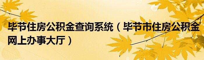 毕节住房公积金查询系统(毕节市住房公积金网上办事大厅)