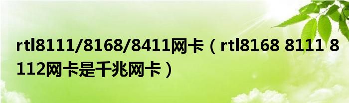 rtl8111/8168/8411网卡(rtl8168 8111 8112网卡是千兆网卡)