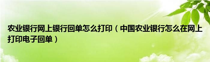 农业银行网上银行回单怎么打印(中国农业银行怎么在网上打印电子回单)