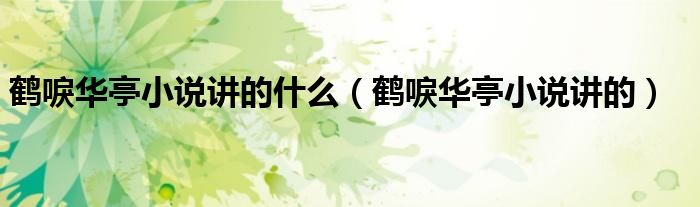 鹤唳华亭小说讲的什么(鹤唳华亭小说讲的)