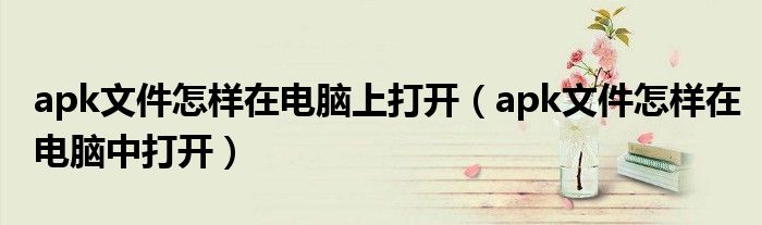 apk文件怎样在电脑上打开(apk文件怎样在电脑中打开)