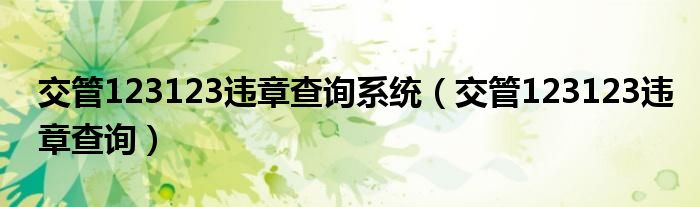交管123123违章查询系统(交管123123违章查询)