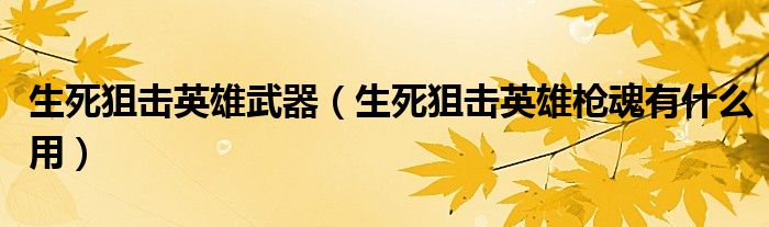 生死狙击英雄武器(生死狙击英雄枪魂有什么用)
