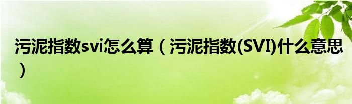 污泥指数svi怎么算(污泥指数(SVI)什么意思)