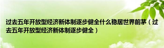 过去五年开放型经济新体制逐步健全什么稳居世界前茅(过去五年开放型经济新体制逐步健全)