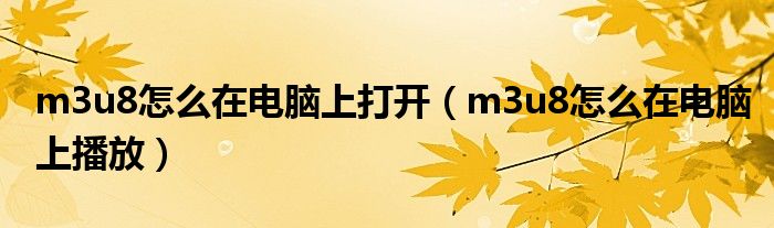 m3u8怎么在电脑上打开(m3u8怎么在电脑上播放)