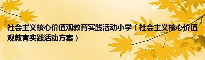 社会主义核心价值观教育实践活动小学(社会主义核心价值观教育实践活动方案)