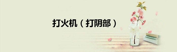 打火机（打阴部）