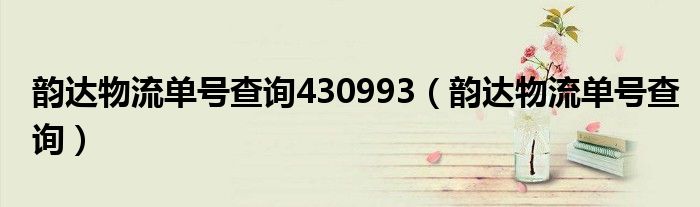 韵达物流单号查询430993(韵达物流单号查询)
