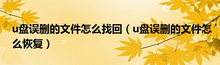 u盘误删的文件怎么找回(u盘误删的文件怎么恢复)