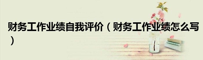 财务工作业绩自我评价(财务工作业绩怎么写)