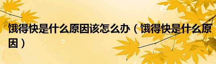 饿得快是什么原因该怎么办(饿得快是什么原因)