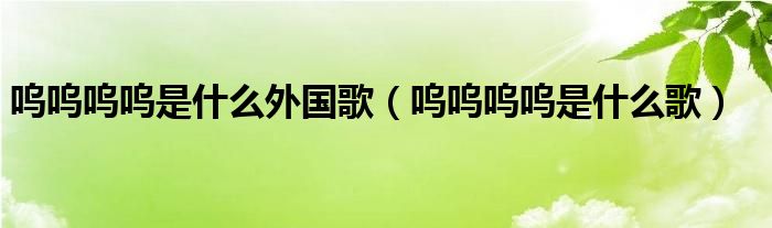 呜呜呜呜是什么外国歌(呜呜呜呜是什么歌)