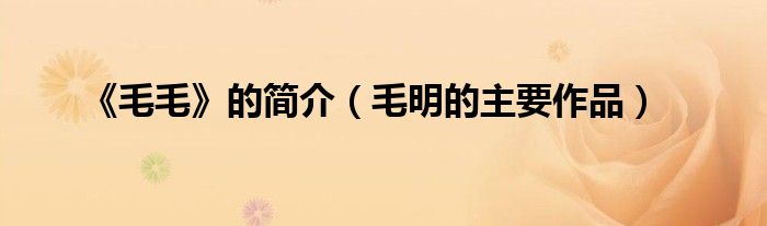 《毛毛》的简介(毛明的主要作品)
