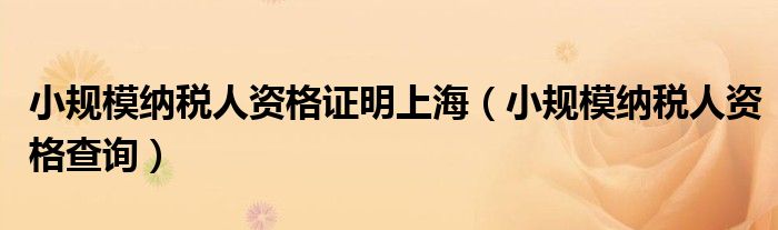 小规模纳税人资格证明上海(小规模纳税人资格查询)