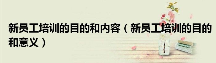 新员工培训的目的和内容(新员工培训的目的和意义)