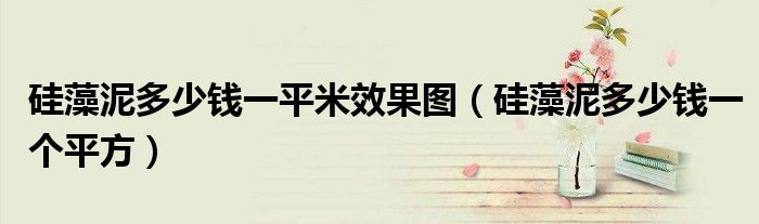 硅藻泥多少钱一平米效果图(硅藻泥多少钱一个平方)