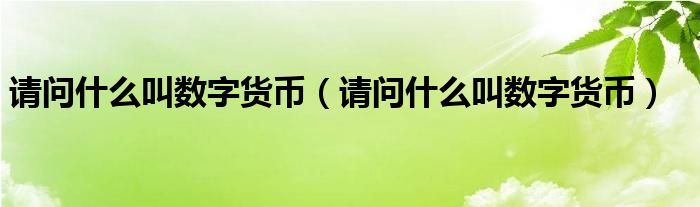 请问什么叫数字货币(请问什么叫数字货币)