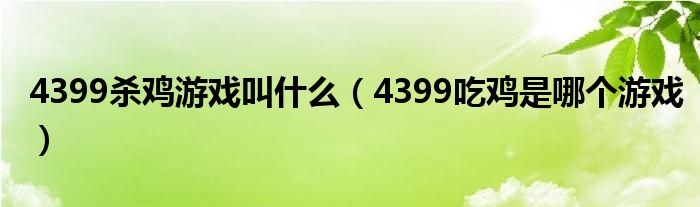 4399杀鸡游戏叫什么(4399吃鸡是哪个游戏)