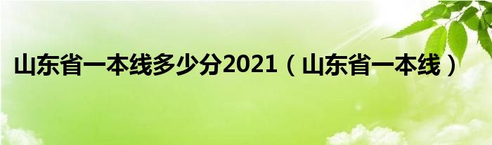 山东省一本线多少分2021(山东省一本线)