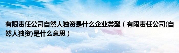 有限责任公司自然人独资是什么企业类型(有限责任公司(自然人独资)是什么意思)