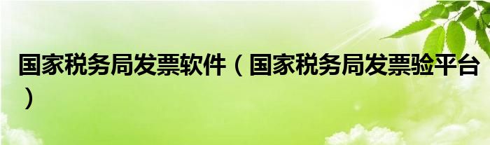 国家税务局发票软件(国家税务局发票验平台)