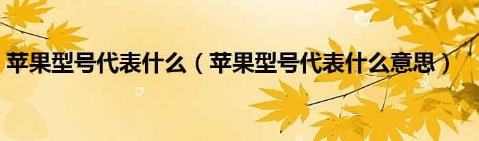 苹果型号代表什么(苹果型号代表什么意思)