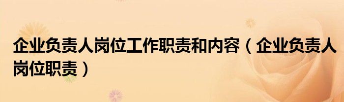 企业负责人岗位工作职责和内容(企业负责人岗位职责)