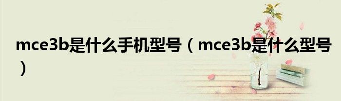 mce3b是什么手机型号(mce3b是什么型号)
