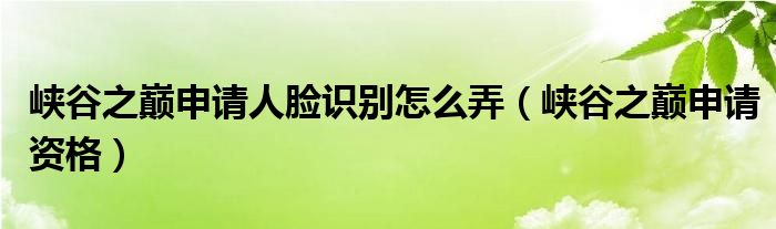 峡谷之巅申请人脸识别怎么弄(峡谷之巅申请资格)
