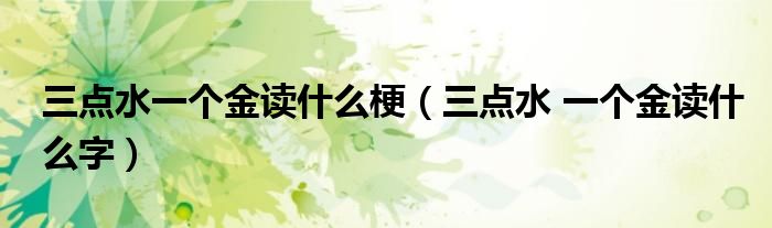 三点水一个金读什么梗(三点水 一个金读什么字)