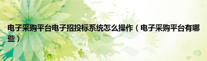 电子采购平台电子招投标系统怎么操作(电子采购平台有哪些)