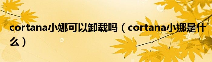 cortana小娜可以卸载吗(cortana小娜是什么)