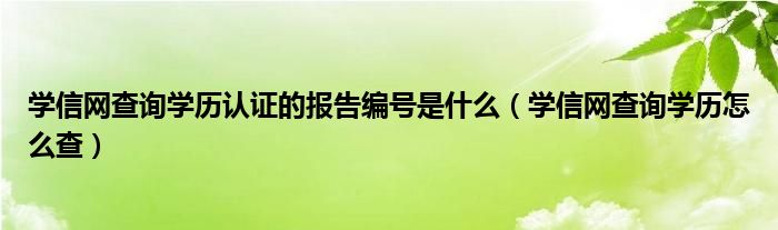 学信网查询学历认证的报告编号是什么(学信网查询学历怎么查)