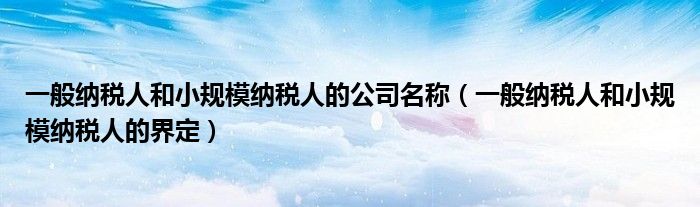 一般纳税人和小规模纳税人的公司名称(一般纳税人和小规模纳税人的界定)